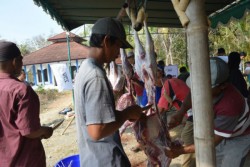ACT Sembelih 90 Ekor Kambing Kurban untuk Warga Bantul