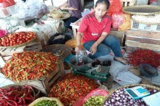 Harga Cabai di Madiun Lebih Mahal dari 3 Kg Ayam