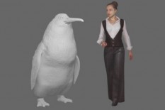 Ahli Temukan Fosil Penguin Sebesar Manusia di Selandia Baru