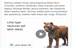 Keren, Kini Ada Fitur Hewan Virtual di Google