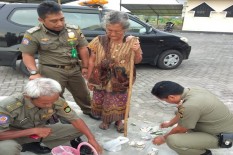 Populasi Gepeng di Indonesia Capai 77.500 Jiwa