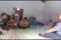 Bayi Berusia 40 Hari Digigit Kera Liar, Ini Kronologinya
