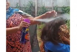 Viral Bunuh Kutu Pakai Obat Nyamuk Semprot, Warganet: Orang Yang Disemprot Bakalan Ikut Mati Juga