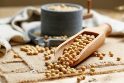 Kacang Kedelai Mujarab Kurangi Risiko Penyakit Jantung