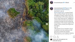 Leonardo DiCaprio Dukung Pelestarian Hutan Amazon