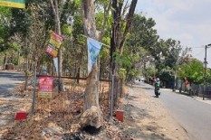 Di Solo, Pasang Iklan di Pohon Bisa Kena Kurungan dan Denda Rp50 Juta