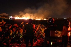 Lahan Tebu Terbakar, Warga Colomadu Geger