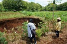 Waspada! Tujuh Kecamatan di Gunungkidul Rawan Tanah Ambles