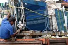 Pemerintah Diminta Memakai Produk Lokal untuk Proyek Ibu Kota Baru