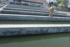 Nila Larasati dari Klaten Jadi Primadona Petani Ikan Tanah Air
