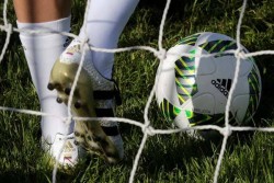 Tak Punya Ongkos Pulang Setelah Ikut Piala Kemenpora, Tim SSB Batam Akan Mengemis 