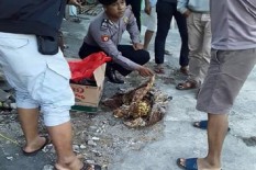 Jasad Bayi dalam Kardus Ditemukan di Sukoharjo