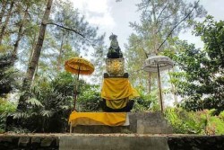 Indah dan Bersejarah, Ini Rowo Banyu di Lokasi yang Mirip dengan Desa Penari