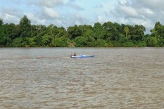 3 Kabupaten Ini Ditunjuk Sebagai Pusat Penyangga Pangan Ibu Kota Baru
