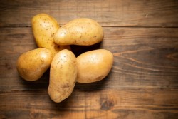 Ini 5 Makanan Sering Dikonsumsi Ternyata Mengandung Beracun