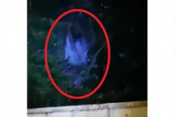 Ada Video Kuntilanak di Kaltim, Warganet: Kuntilanak Panik Rumahnya Mau Digusur untuk Ibu Kota