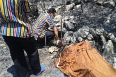 Kakek Marto Asal Wonogiri Meninggal Terbakar di Ladangnya