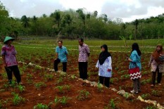 Jelang Musim Tanam 1, Petani Diimbau Siapkan Lahan dan Benih 