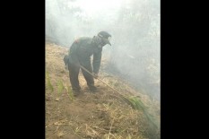 2 Hari Terakhir, Gunung Lawu Kebakaran 3 Kali