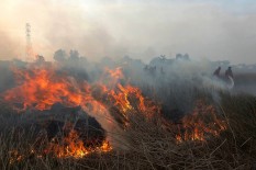 PTPN VII Sangkal Tuduhan Sengaja Bakar Lahan