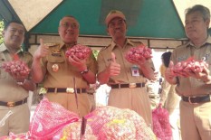 Selamatkan Petani Bawang Merah Akibat Harga Anjlok, Ini yang Dilakukan Pemkab Bantul