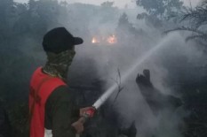 Sudah 189 Orang Ditetapkan Tersangka Karhutla