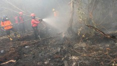 Atasi Karhutla di Riau, 2 Pesawat Tambahan Disiapkan