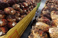 Misbakhun Ajak Warga Aktif Lawan Kampanye Negatif Sawit