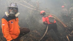 Polri Tetapkan 235 Tersangka Terkait Kasus Karhutla