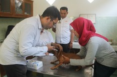 Pemkot Gelar Vaksin Rabies Gratis