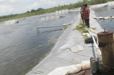 Pemkab Kulonprogo akan Susun Masterplan dan DED