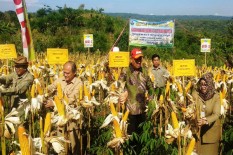 Petani Harus Lebih Kreatif dalam Pemasaran Hasil Panen
