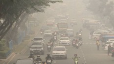 Tips Mengatasi Ruang Bebas dari Asap Karhutla