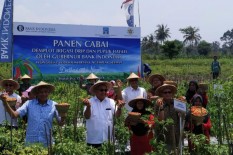 Asyik, Kini Ada Solusi untuk Sistem Irigasi saat Kemarau