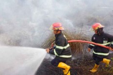 Pemerintah Diminta Mengaudit Kepatuhan Cegah Karhulta