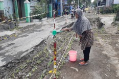 Warga Jogja Tanam Jagung di Lokasi Proyek yang Terkena OTT KPK