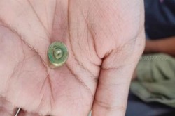 Ditemukan Selongsong Peluru di Lokasi Demo yang Menewaskan Randi
