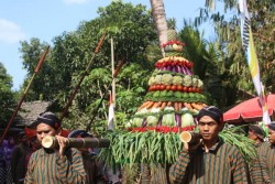 Dusun Benyo Gelar Merti Dusun