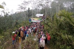 Rasakan Manfaat, Gema Perhutanan Sosial Tetap Loyal Dukung Jokowi