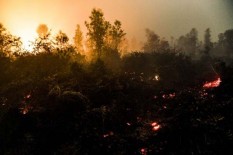 610 Titik Panas di Sumatra Selatan Terdeteksi 