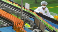 Semester 1/2019, Industri Minuman Tumbuh Lebih dari Rp20%