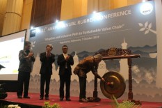 Permintaan Domestik Karet Perlu Ditingkatkan, Ini Alasannya
