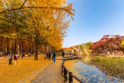 Musim Gugur Telah Tiba, Ini 4 Destinasi Liburan Musim Gugur di Asia 