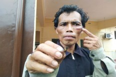 Lebah Predator Teror Warga Bekasi