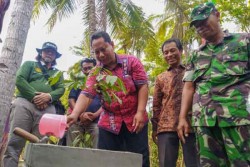  Tekan Impor Buah, Petani Kaligintung Diajak Tanam Kelengkeng Kateki