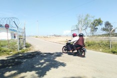 Duh, Lebih dari Separuh Cemara di Sepanjang Glagah-Congot Layu dan Mati