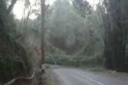 Angin Kencang Melanda Lebih dari 19 Jam, 70 Warga Pakis Magelang Mengungsi