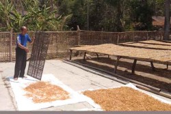Kemarau Panjang, Pembuat Kerupuk Rambak Untung Besar