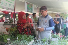 Wawali Jogja: Pertanian Perkotaan Butuh Pendekatan Khusus