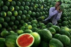 Ingin Awet Muda? Ini 5 Makanan yang Bisa Mencegah Penuaan Dini